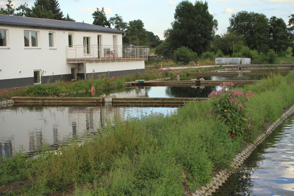 Ruhige Ferienwohnungen Mit Teichblick Wetterfeld Exterior foto